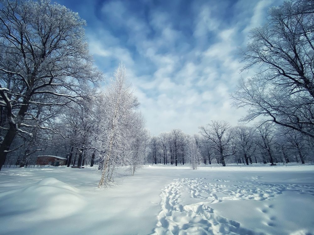 Photograph by Яна Лугинина