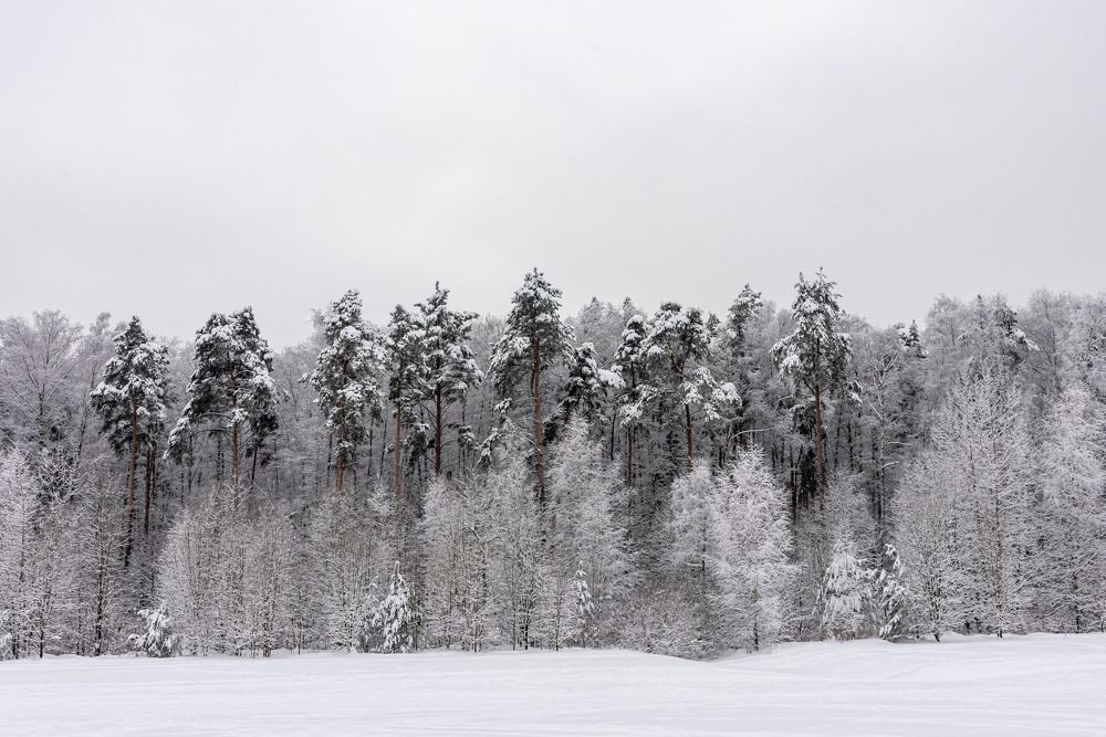 Photograph by Andrey Chernov