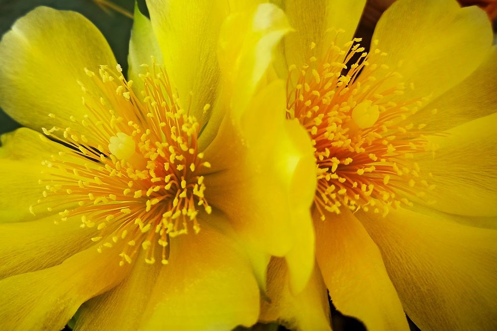 Photograph by Сергей Жигульский