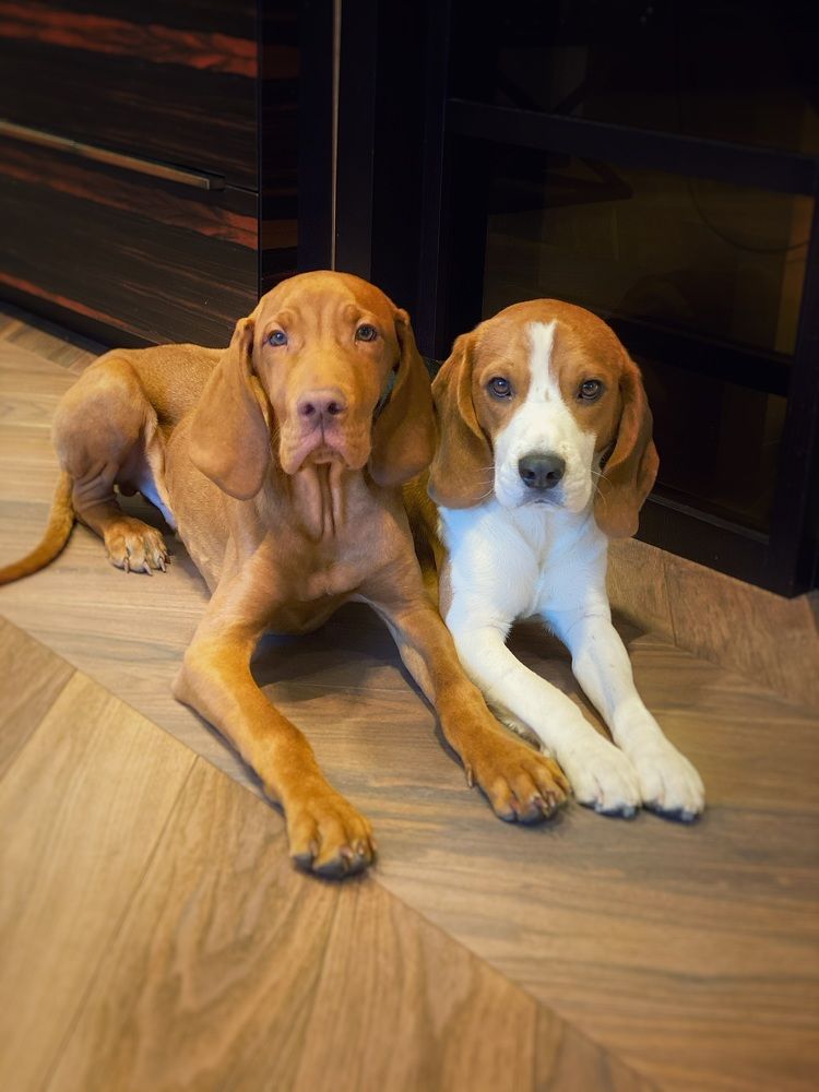 Фотография автора Ольга Клюева