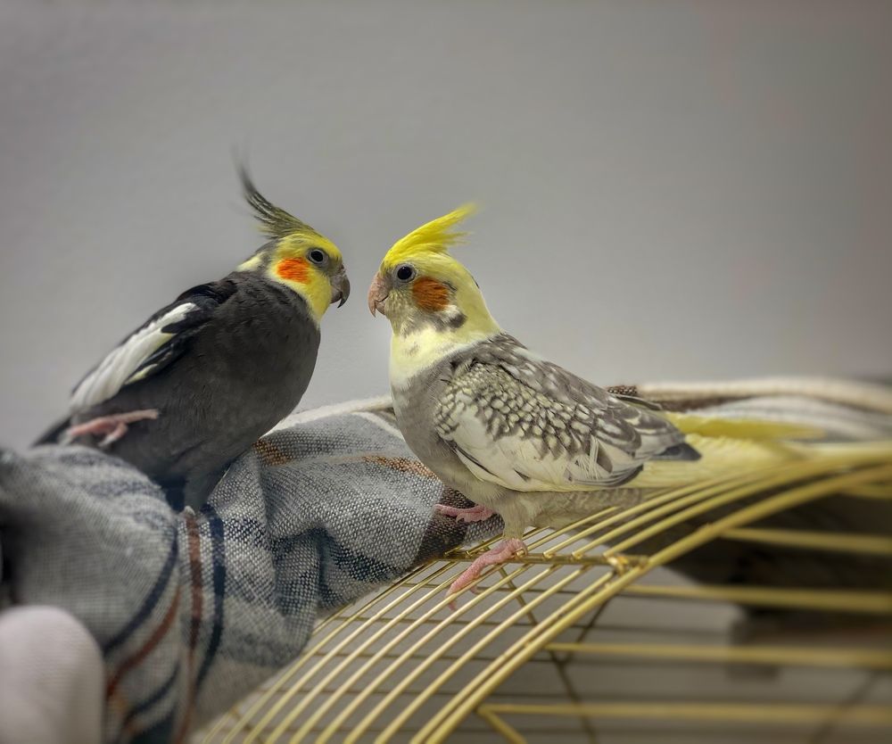 Фотография автора Ольга Клюева