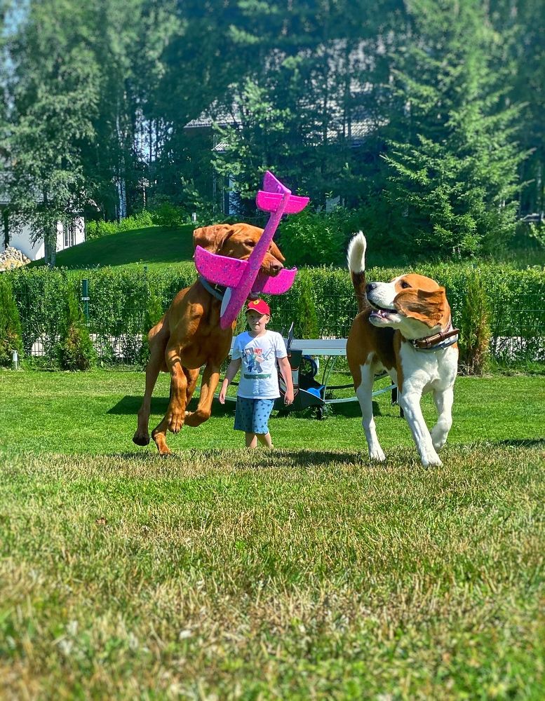 Фотография автора Ольга Клюева