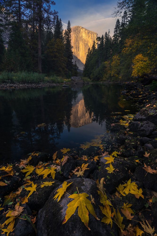 Photograph by bart slawinski