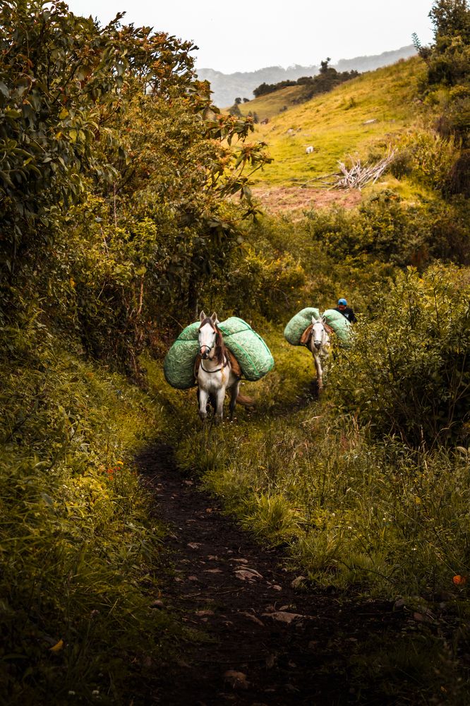 Фотография автора Carlos Jimenez