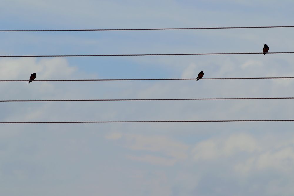 Photograph by Andrea Alcalá