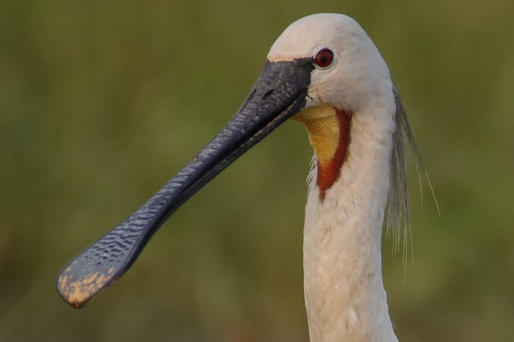 Photograph by Aahan Roy