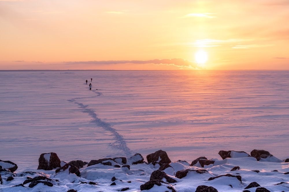 Photograph by Алёна Дьяченко