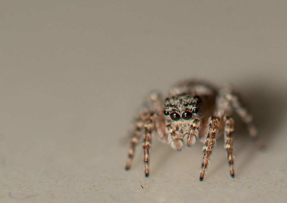 Photograph by Aлена Плясова