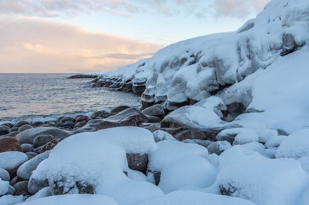 Студёный берег