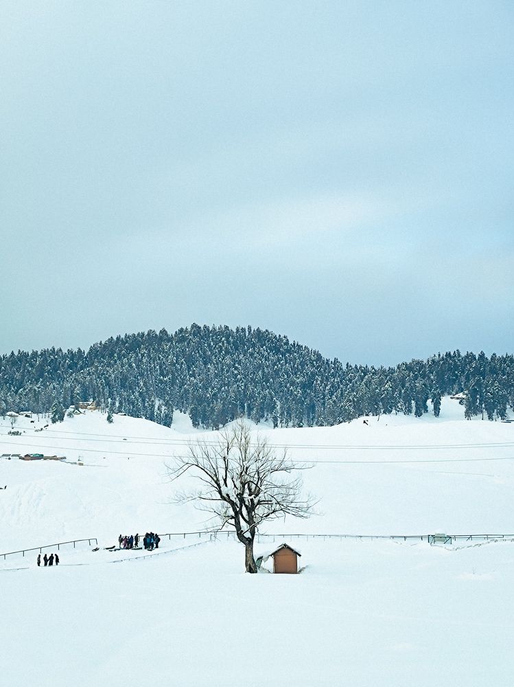 Photograph by Mosisz Tv