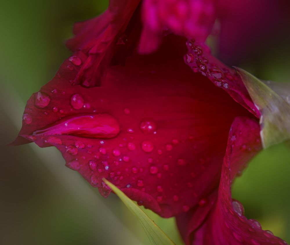 Photograph by Ольга Блохина