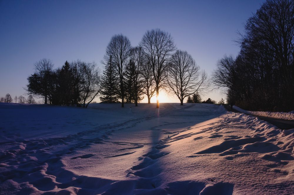 Фотография автора Rodnev Vadim