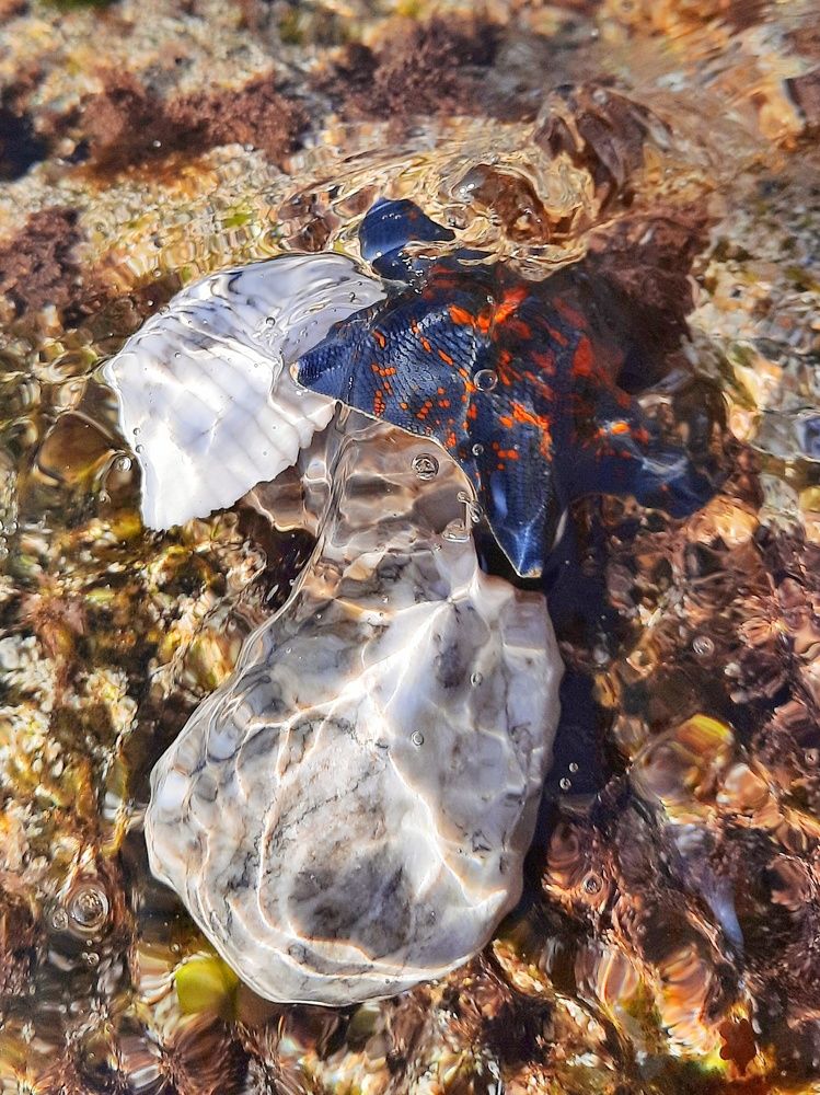 Photograph by Любовь Войтишина