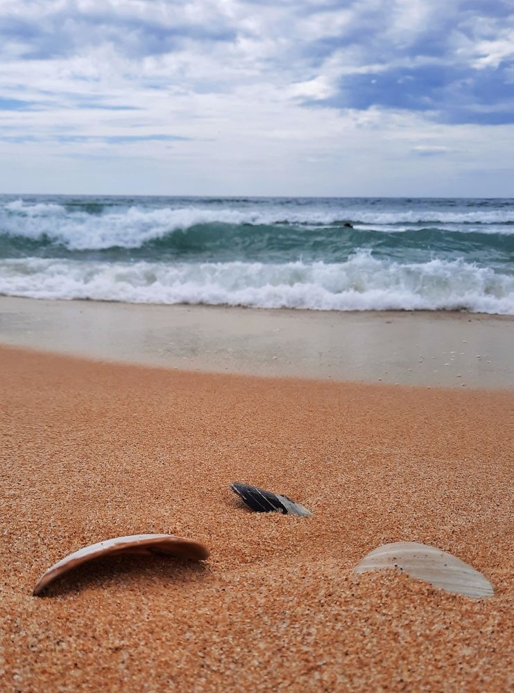 Photograph by Любовь Войтишина