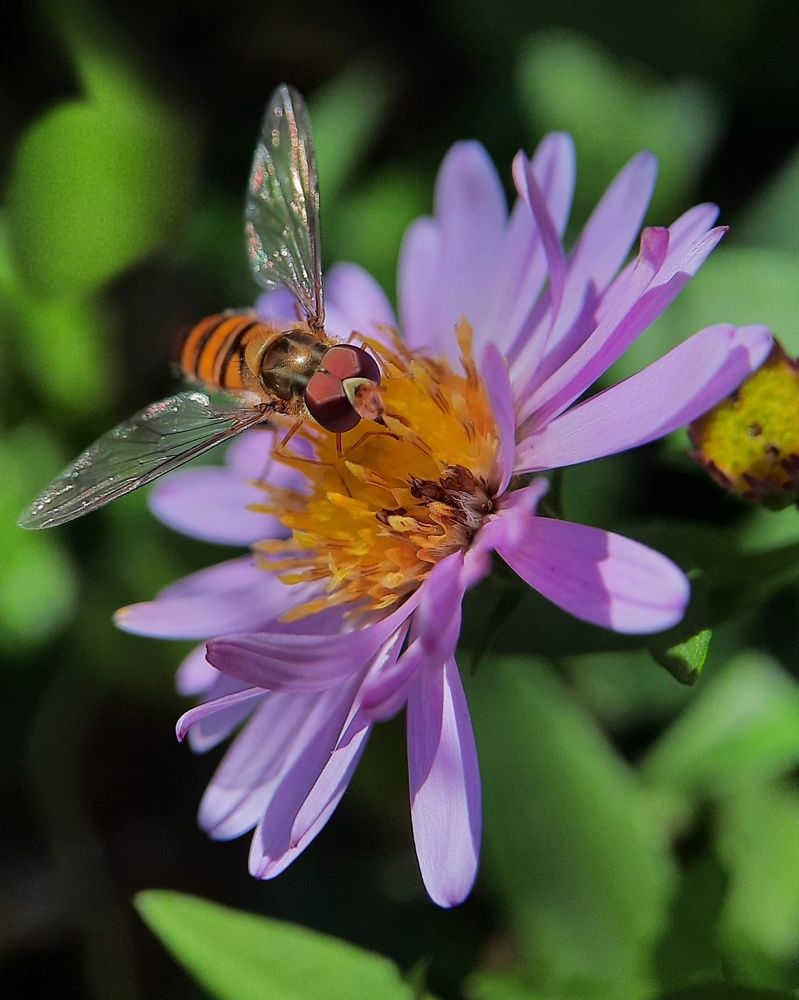 Photograph by Любовь Войтишина