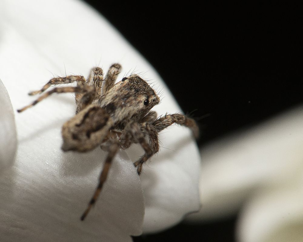 Photograph by Aлена Плясова