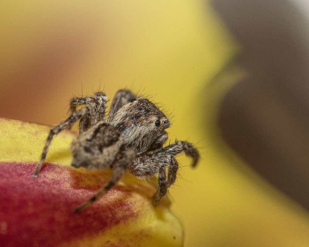 Photograph by Aлена Плясова