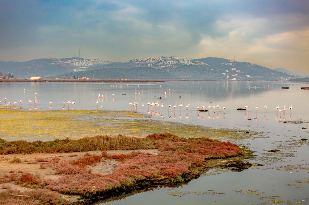 Photograph by Антон Луценко