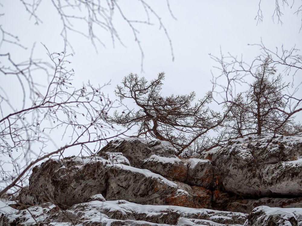 Photograph by Зульфия Курманова