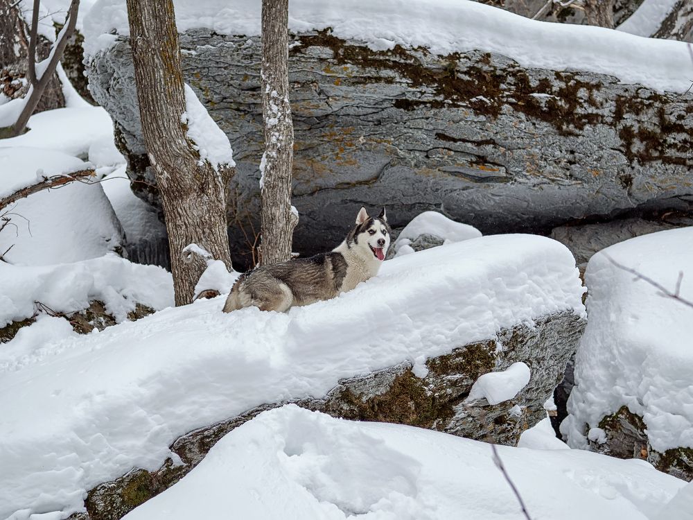 Photograph by Зульфия Курманова