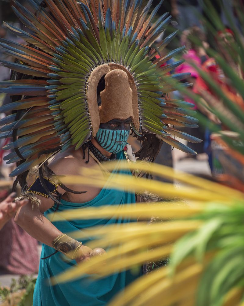 Photograph by Aлена Плясова