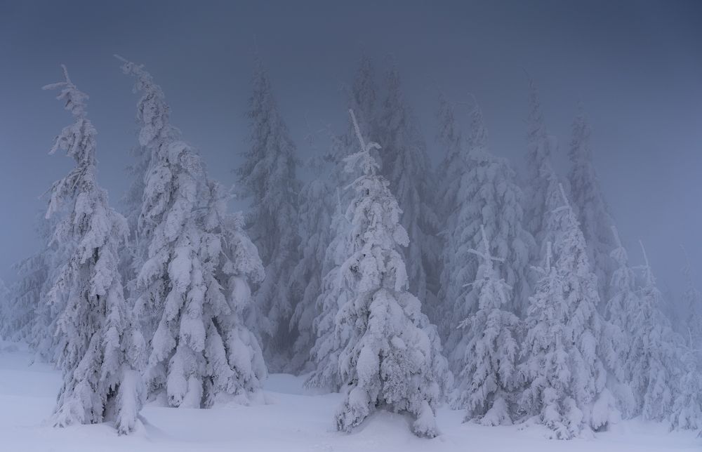 Photograph by Varga Zoltan