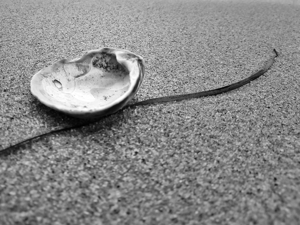 Photograph by Любовь Войтишина