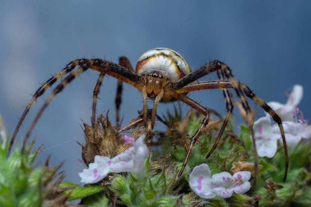 Photograph by Сергей Харитон