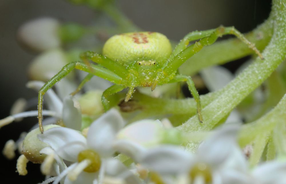 Photograph by Сергей Харитон