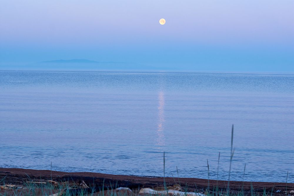 Photograph by Максим Сидоров