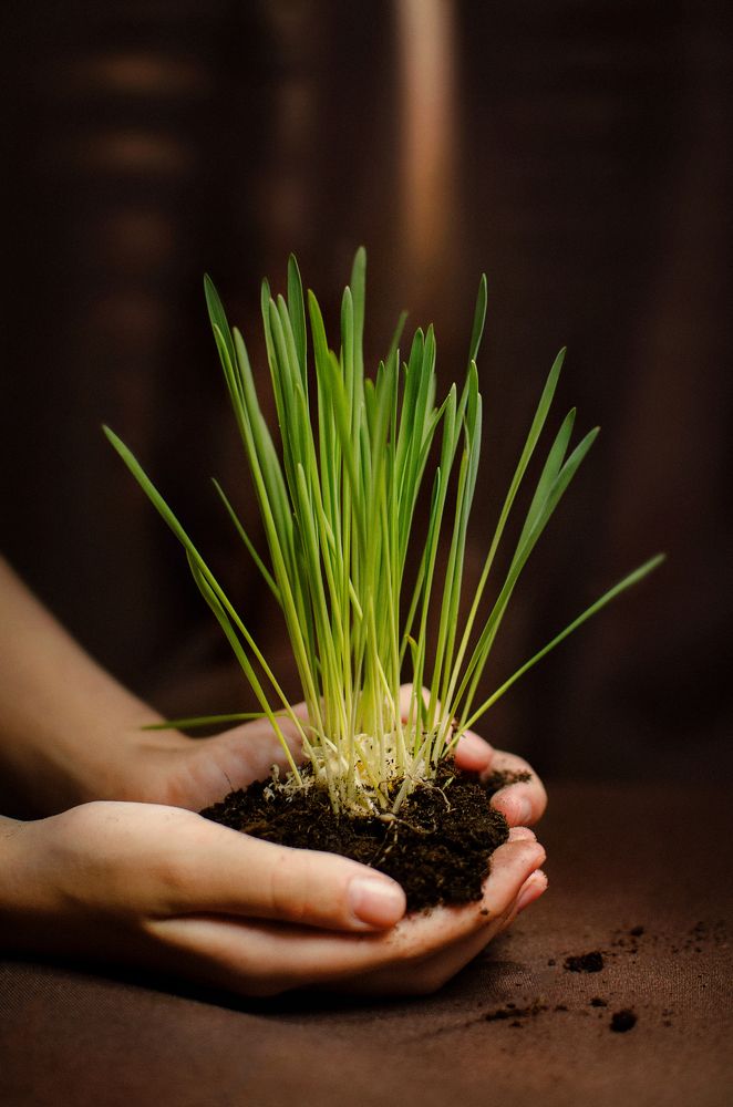 Photograph by Ирина Варич