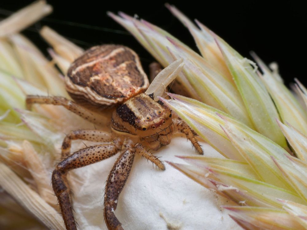 Photograph by Сергей Харитон