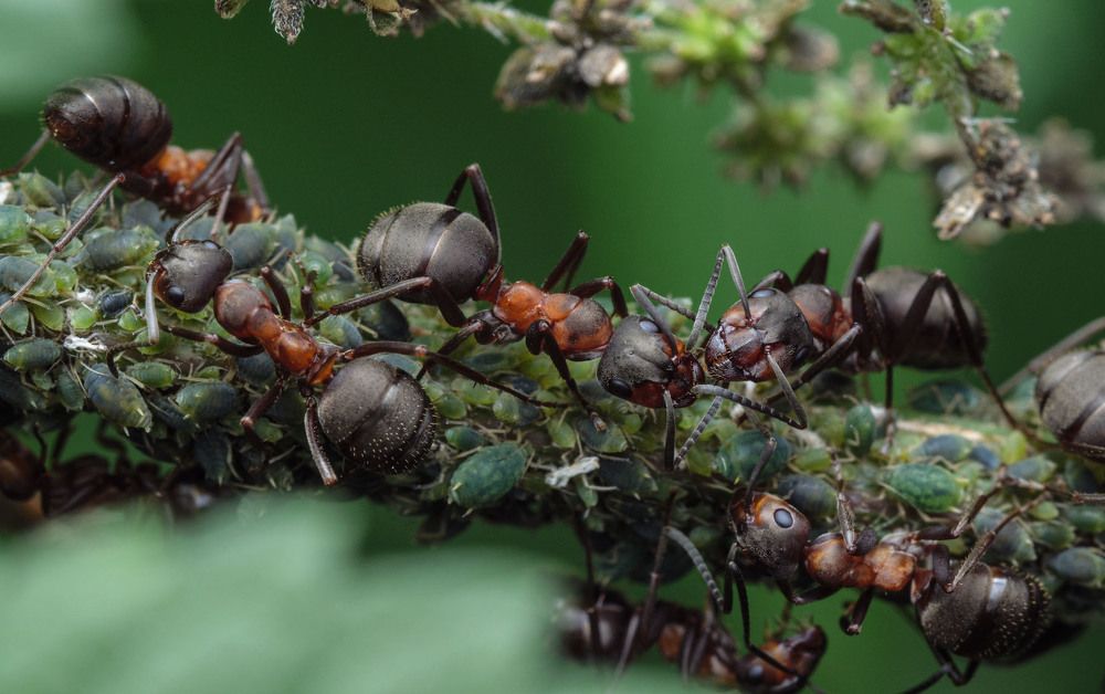 Photograph by Сергей Харитон