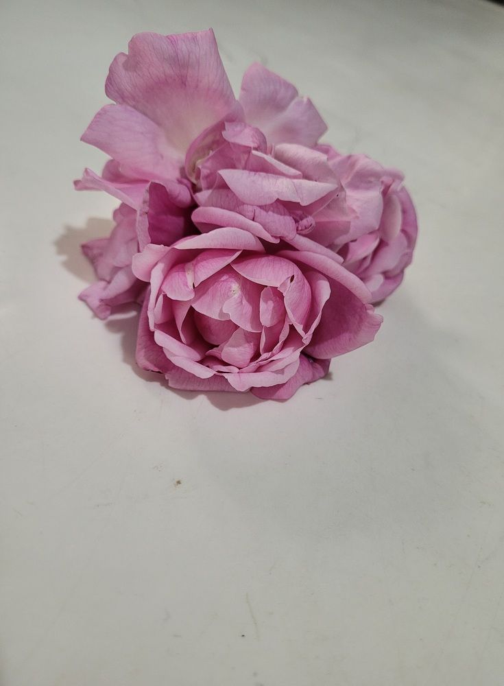 I can smell the perfume