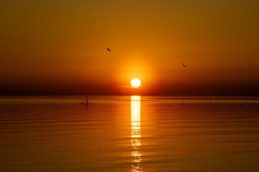 Photograph by Михаил Карпов