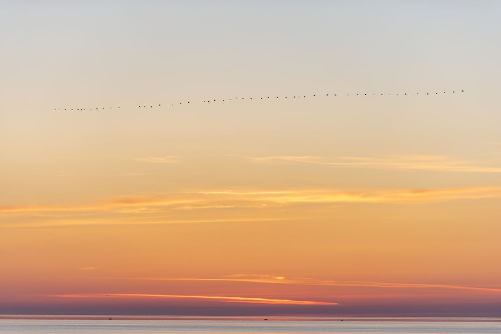 Photograph by Михаил Карпов