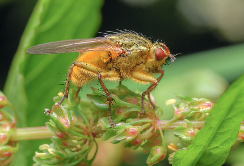 Photograph by Сергей Харитон