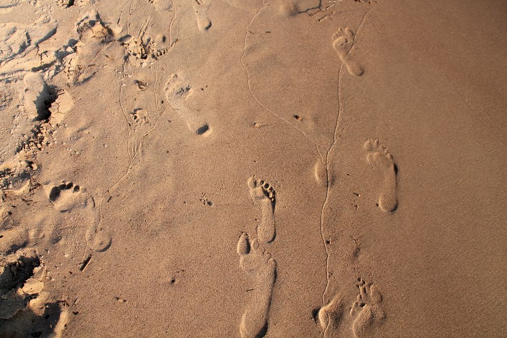 Photograph by Александр Кравченко