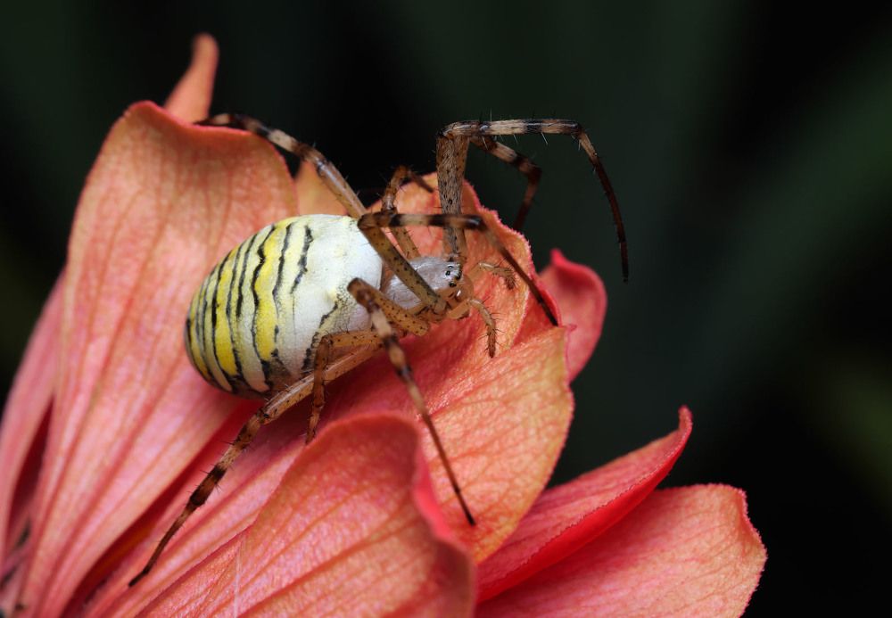 Photograph by Сергей Харитон