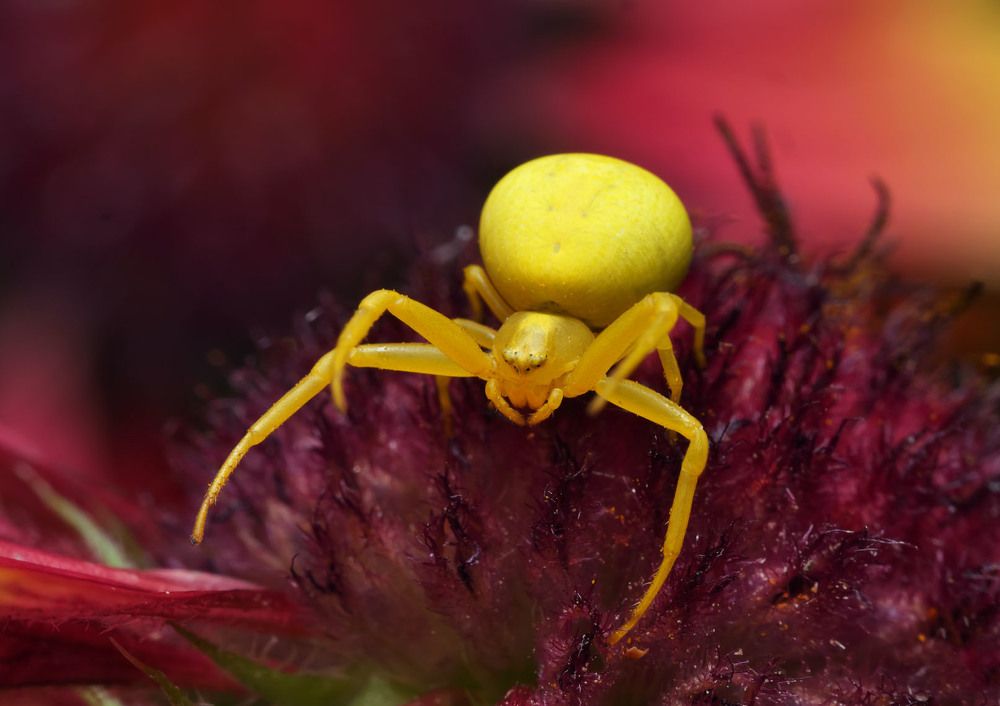 Photograph by Сергей Харитон