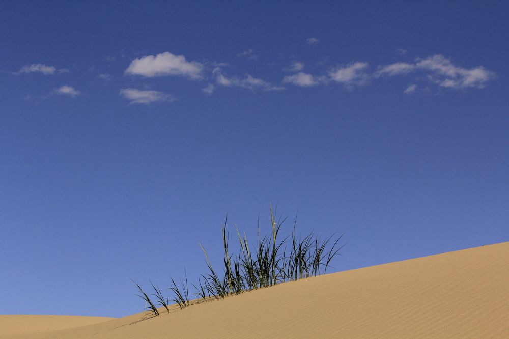 Photograph by Антон Смоляр