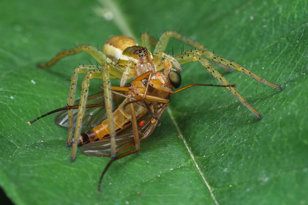 Photograph by Сергей Харитон