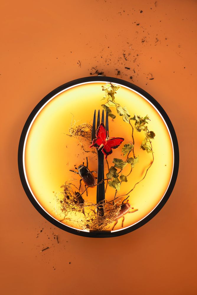 Photograph by Dina Belenko