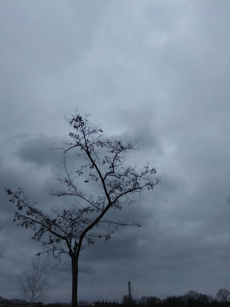 Photograph by Лысых Галина