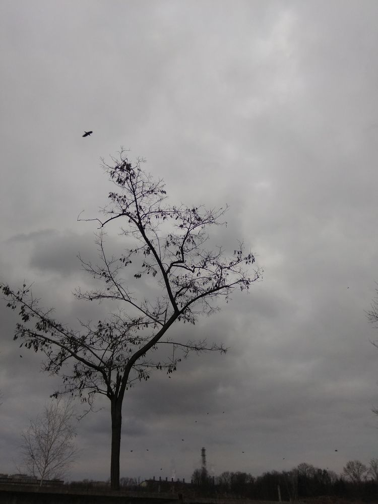 Photograph by Лысых Галина