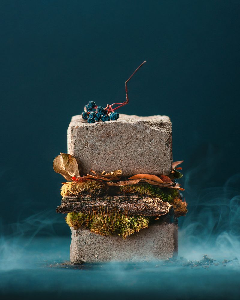 Photograph by Dina Belenko