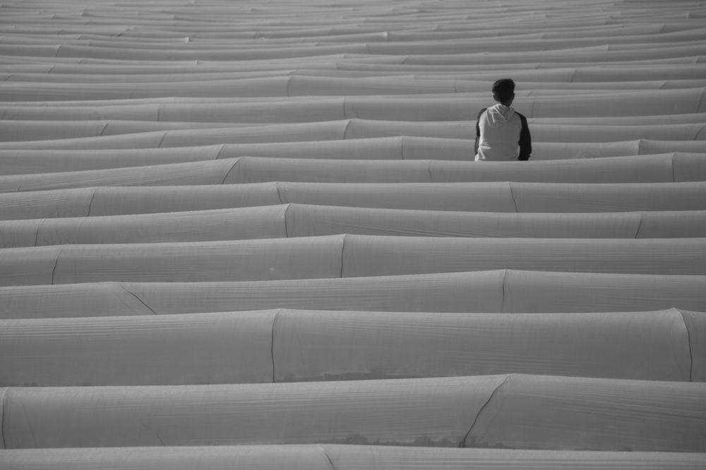 Photograph by amin Sharafiani