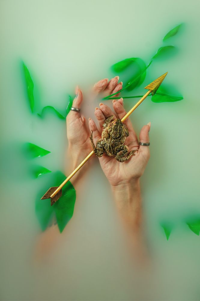 Photograph by Dina Belenko