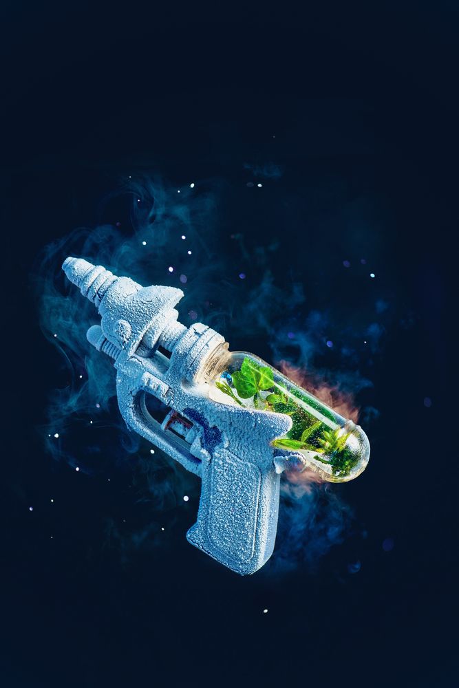 Photograph by Dina Belenko