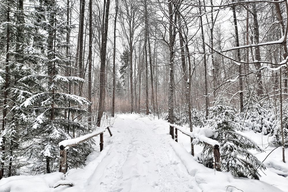 Photograph by Михаил Рассказ